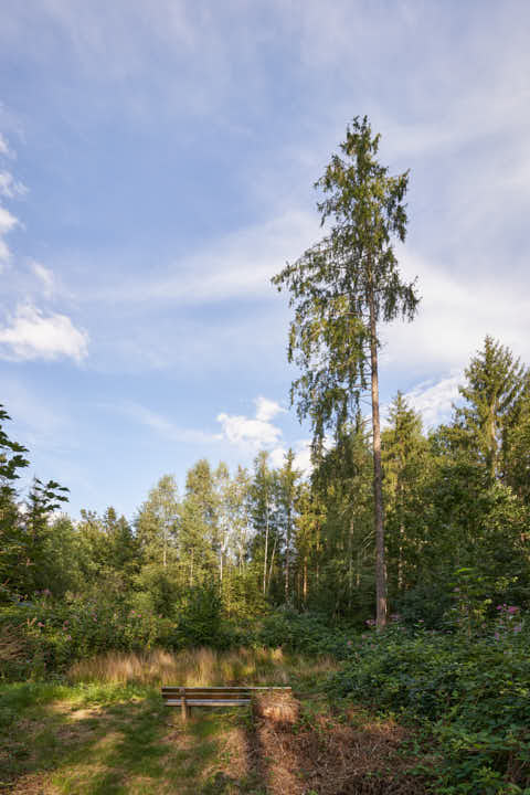 Gemeinde Simbach Landkreis Rottal-Inn Schellenberg Bank an Kapelle Natur (Dirschl Johann) Deutschland PAN